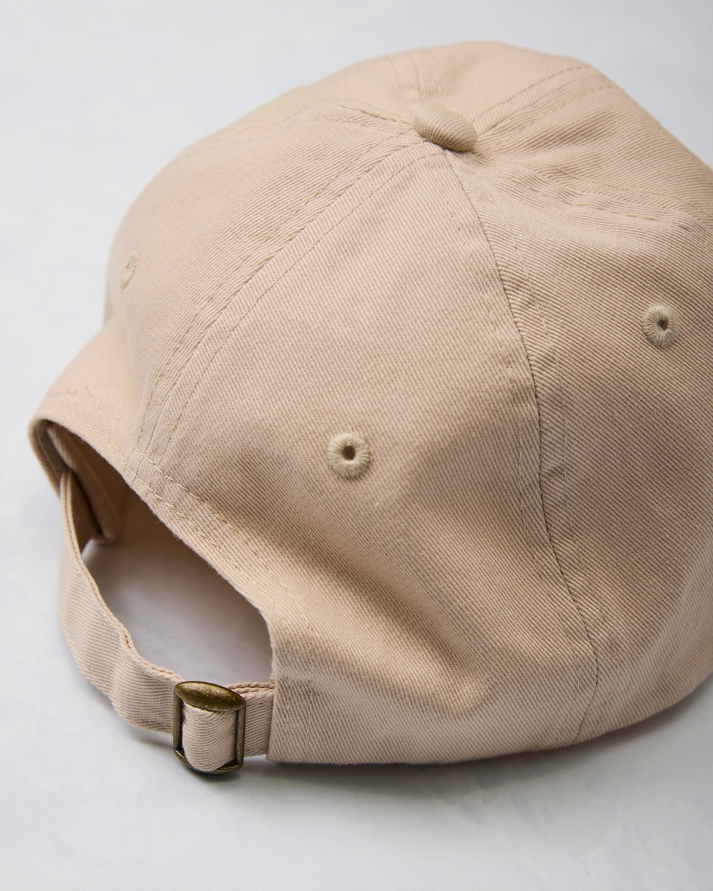 French Fries - Dad Hat - The Silver Spider