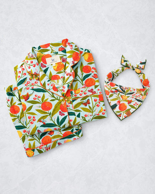 PF x The Foggy Dog Butterfly Grove - Short Set & Dog Bandana Bundle - Soft Blue