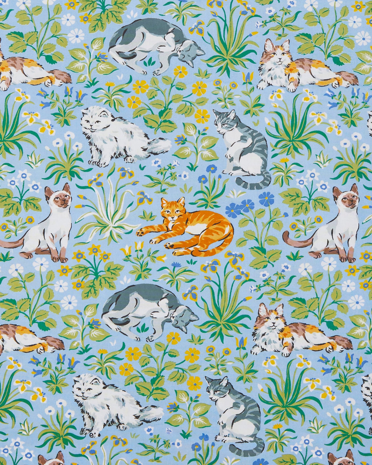 Must Love Cats - Long PJ Set  - Cornflower