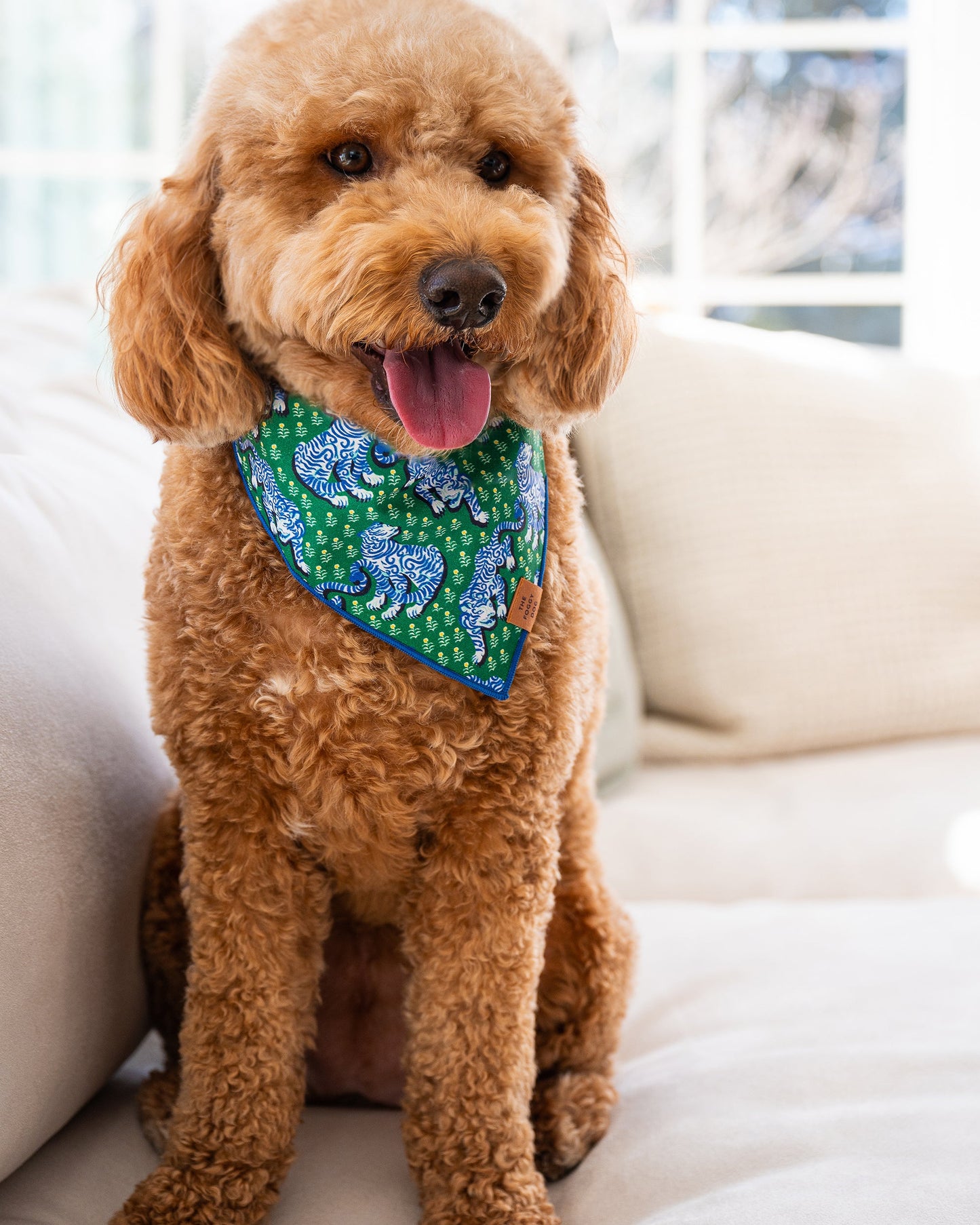 PF x The Foggy Dog Tiger Queen - Short Set & Dog Bandana Bundle - Multi